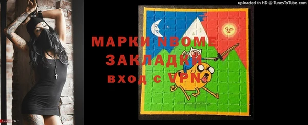 гашик Ельня