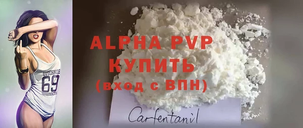 гашик Ельня
