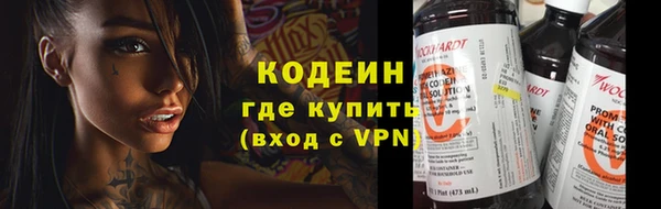 гашик Ельня