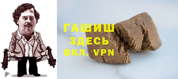 гашик Ельня