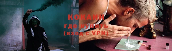 ALPHA PVP Елизово