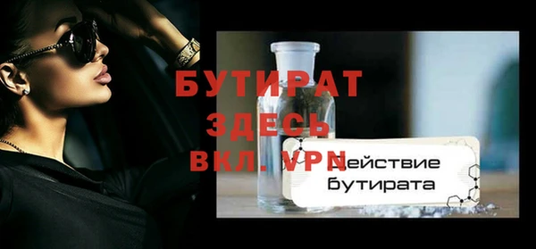 гашик Ельня
