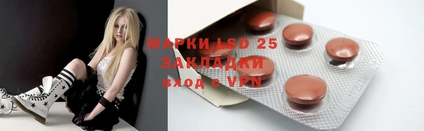 гашик Ельня