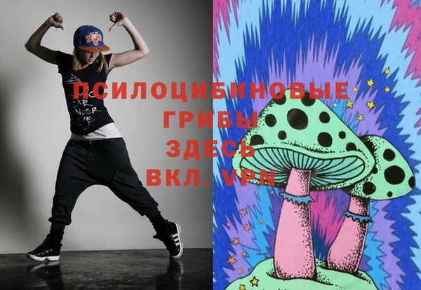 гашик Ельня