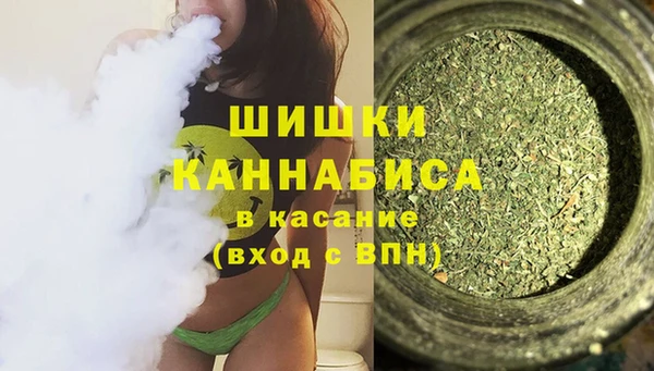 гашик Ельня