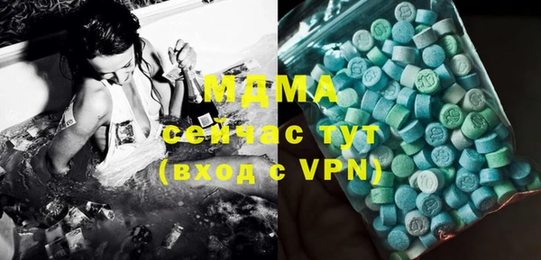 гашик Ельня