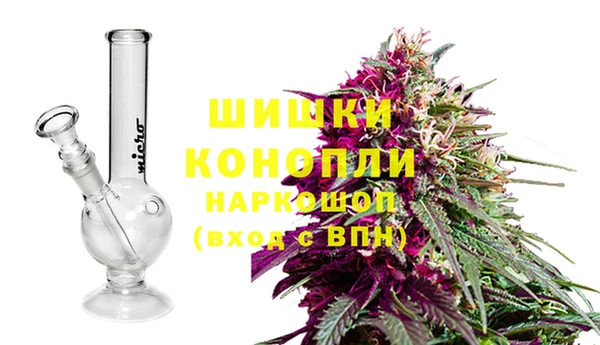 гашик Ельня