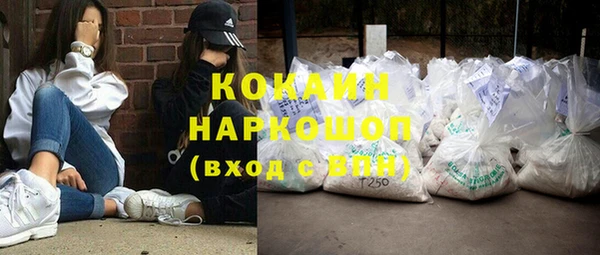 гашик Ельня
