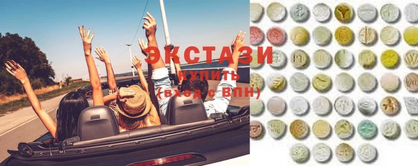 гашик Ельня