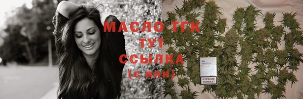 гашик Ельня