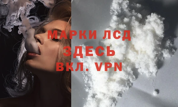 ALPHA PVP Елизово