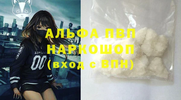 гашик Ельня