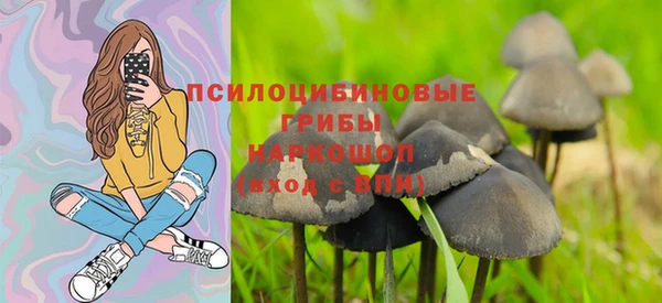 мескалин Елабуга