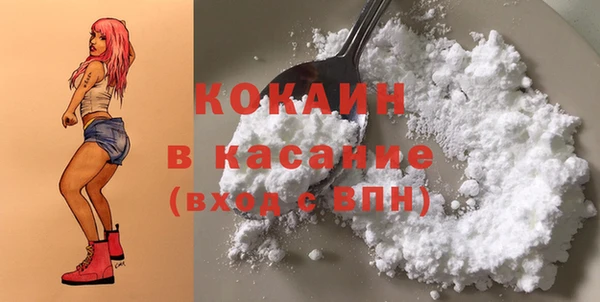 гашик Ельня